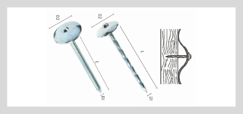 Galvanized Umbrella Head Roofing Nails Details